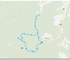 ruta