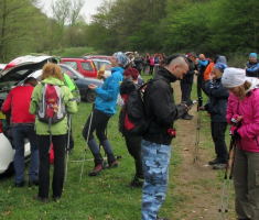 20160410_mecsek_005