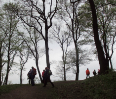 20160410_mecsek_018