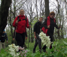 20160410_mecsek_021