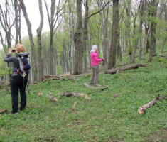 20160410_mecsek_022