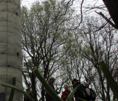 20160410_mecsek_024