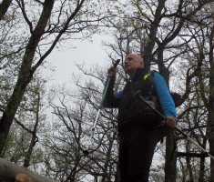 20160410_mecsek_035