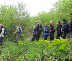 20160410_mecsek_046