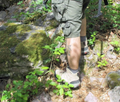 20150510_crni_vrh_039
