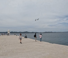 20260510_wings_for_life_zadar_055