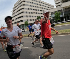 20260510_wings_for_life_zadar_124