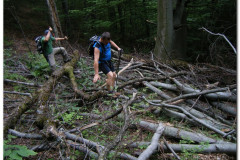 10.06.2012. - Papuk