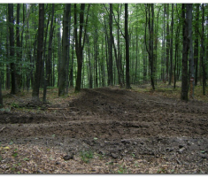 papuk_Ivacka_0020