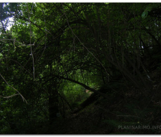papuk_Ivacka_0022