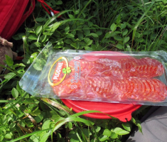 20160710_krndija_037