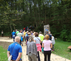 pljesevica_drazen_smit_002