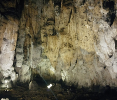 pljesevica_drazen_smit_007