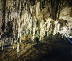 pljesevica_drazen_smit_008
