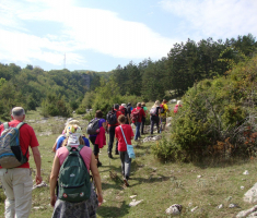 pljesevica_drazen_smit_011