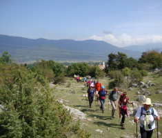 pljesevica_drazen_smit_012