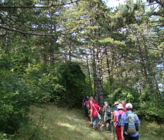 pljesevica_drazen_smit_014