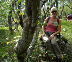 pljesevica_drazen_smit_015