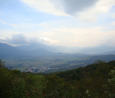 pljesevica_drazen_smit_019