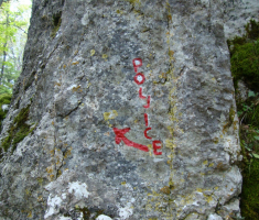 pljesevica_drazen_smit_021