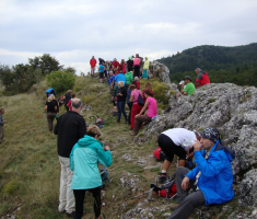 pljesevica_drazen_smit_022