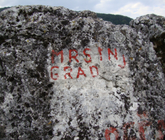 pljesevica_drazen_smit_023