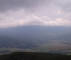 pljesevica_drazen_smit_026