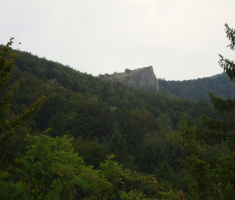 pljesevica_drazen_smit_028