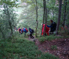 pljesevica_drazen_smit_029