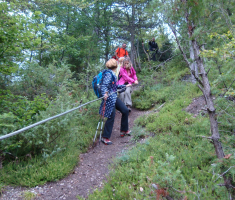 pljesevica_drazen_smit_030