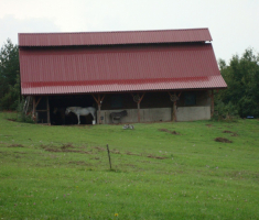 pljesevica_drazen_smit_031