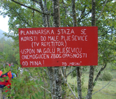 pljesevica_drazen_smit_039