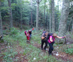 pljesevica_drazen_smit_044