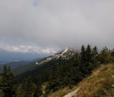 pljesevica_drazen_smit_047