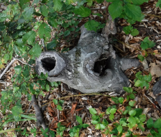20170910_papuk_066