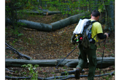 10.10.2010. Papuk