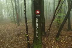 10.10.2015. - Pliš i Mališćak [Valentin Žagar]