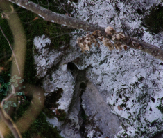 20161210_ucka_057