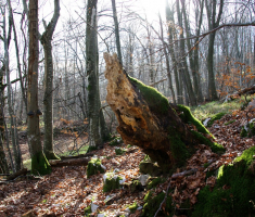 20161210_ucka_066