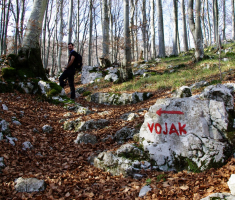 20161210_ucka_069