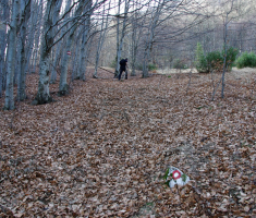 20161210_ucka_074