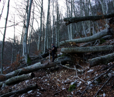 20161210_ucka_083