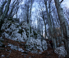 20161210_ucka_086