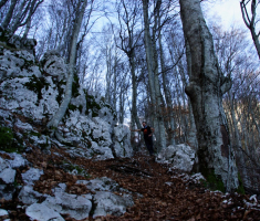 20161210_ucka_087