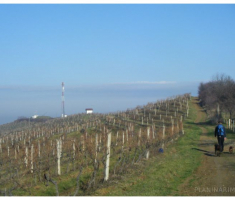 planinarimo_prigorje_005