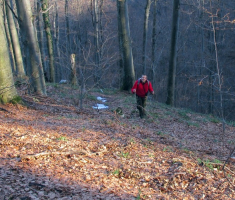 20150111_papuk_004