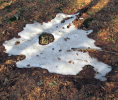 20150111_papuk_007