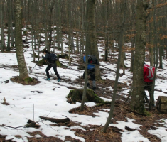 20150111_papuk_009