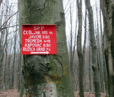 20150111_papuk_019