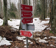 20150111_papuk_023